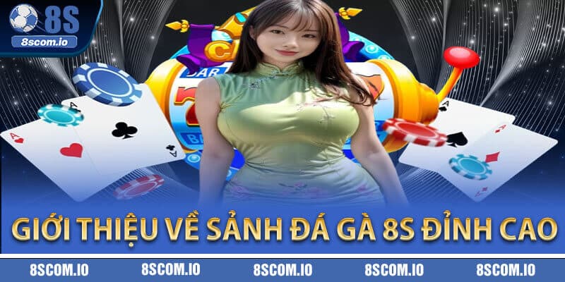 Giới thiệu về sảnh đá gà 8S đỉnh cao