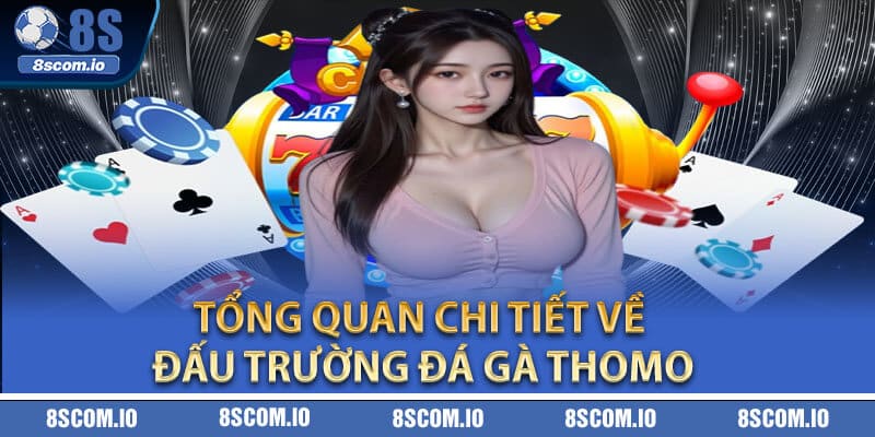 Tổng quan chi tiết về đấu trường Đá Gà Thomo